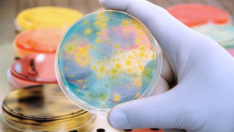 解码上海生物科技公司服务范围：揭秘医药研发的幕后推手**