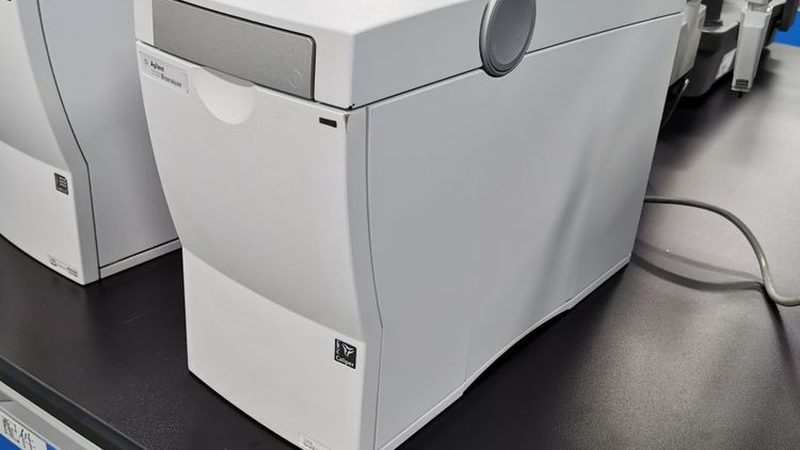 小标题：质量标准的重要性
