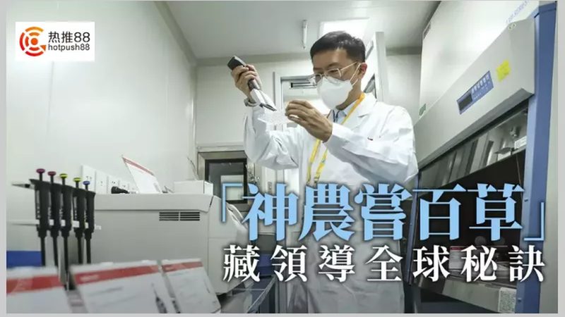细胞培养批次间差异控制：关键要点与挑战**