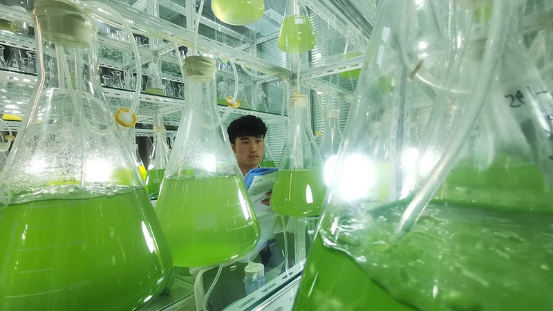 医用级离心管：成都批发市场的品质之选**