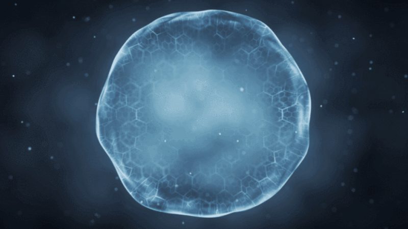 进口生物试剂批发采购，流程揭秘与关键要点