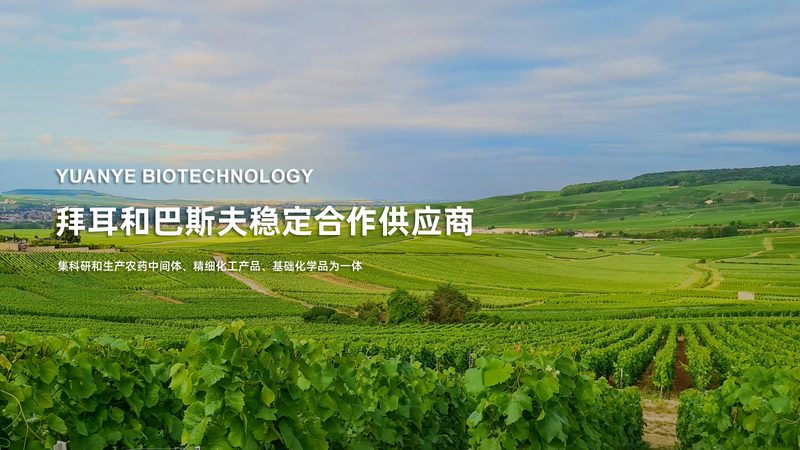 细胞工厂设备选型：关键因素与误区解析