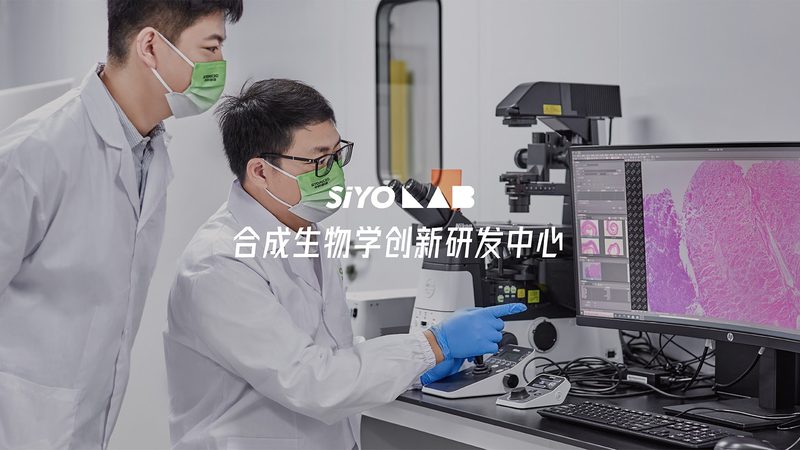临床试验一期二期三期四期对比：研发流程中的关键节点解析