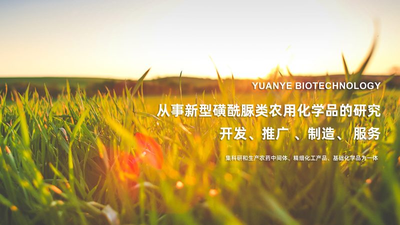 朝阳区基因检测中心费用构成解析